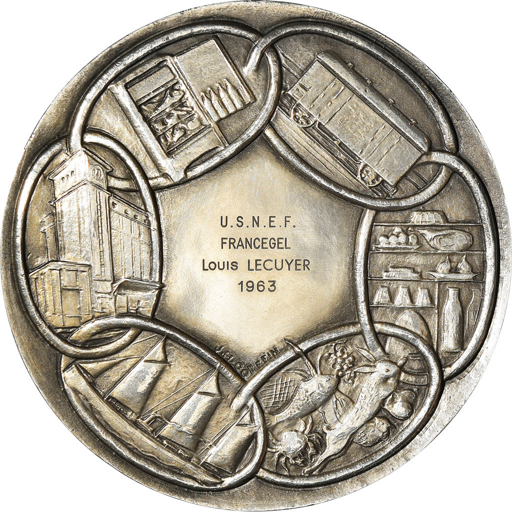 França, Medal, U.S.N.E.F, Francegel, Indústria e comércio, 1963, MS(64)