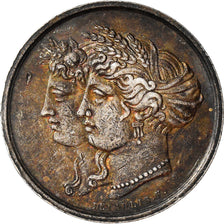 França, Medal, Société d'Agriculture de Seine Inférieure, 1819, Depaulis