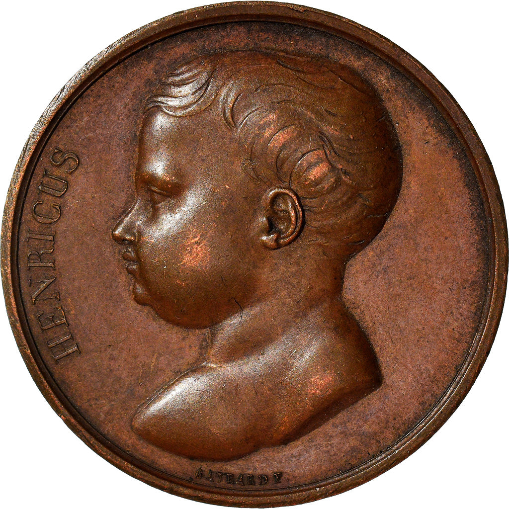 Frankreich, Medaille, Naissance du Duc de Bordeaux, History, ND (1820), Gayrard