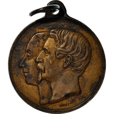 Francja, Medal, La Ville de Lille à Napoléon III, Historia, 1853, Robineau
