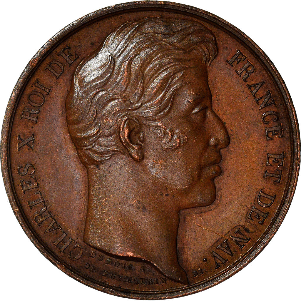 Francia, medalla, Charles X, Passage à Valenciennes, History, 1827, E.Dubois