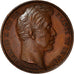 Francia, medalla, Charles X, Passage à Valenciennes, History, 1827, E.Dubois