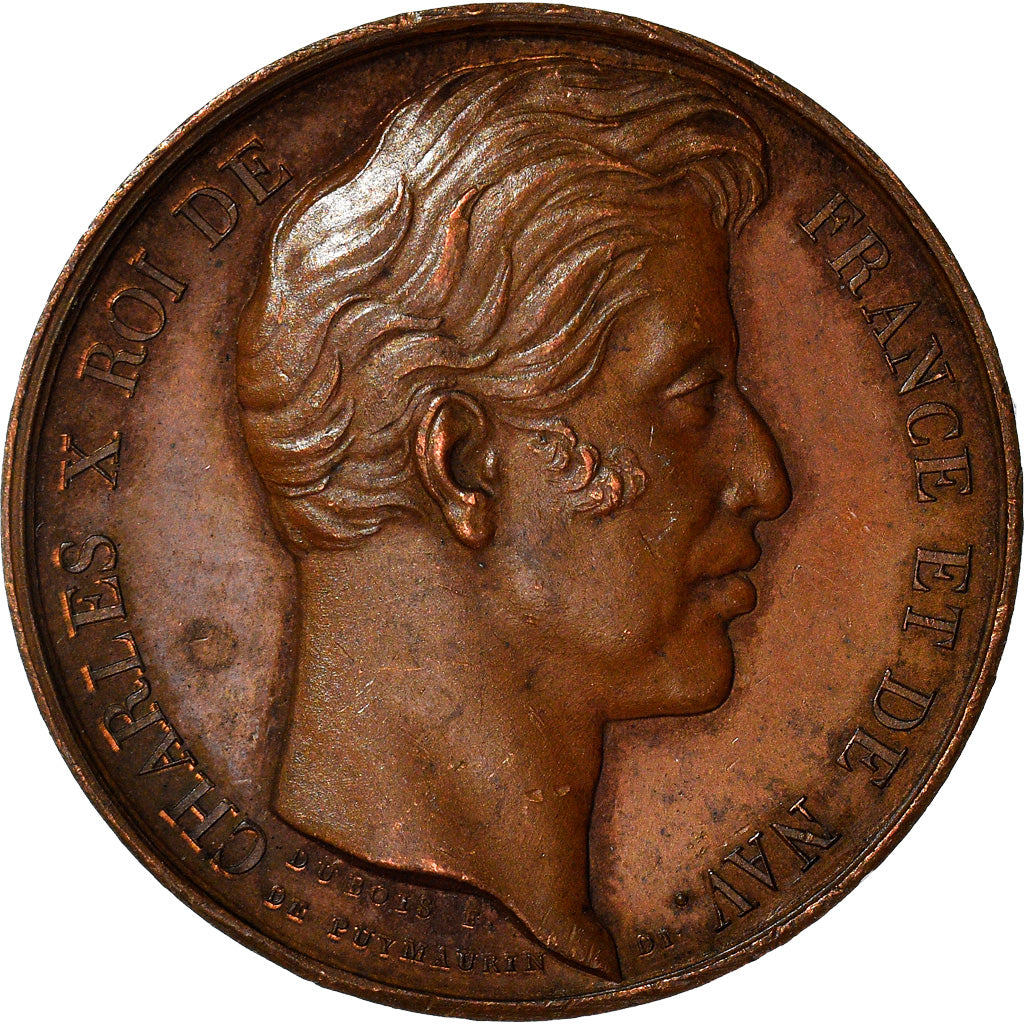 França, Medal, La Ville de Verdun à Charles X, História, 1828, E.Dubois, de