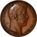 França, Medal, La Ville de Verdun à Charles X, História, 1828, E.Dubois, de