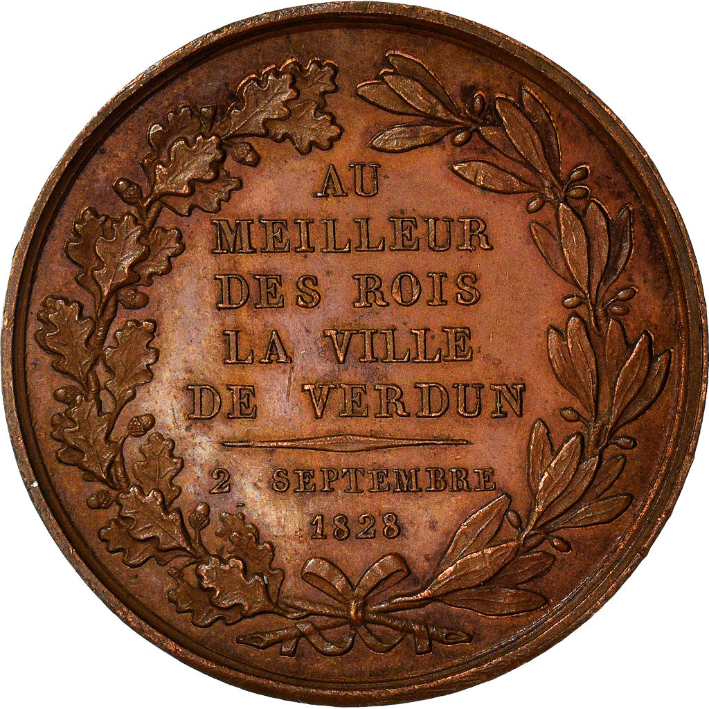 França, Medal, La Ville de Verdun à Charles X, História, 1828, E.Dubois, de