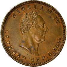 Royaume-Uni, Médaille, William IV Crowned, History, 1831, SUP, Cuivre