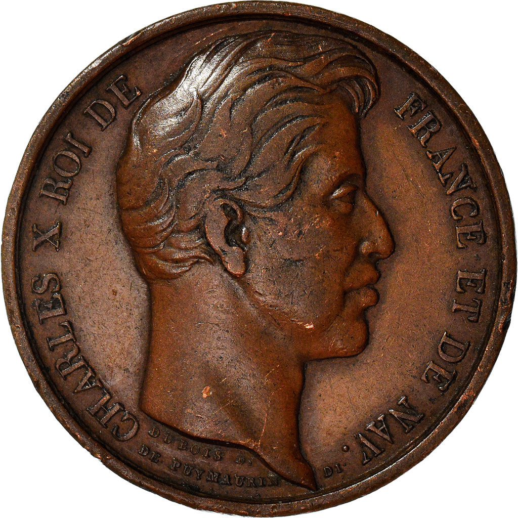 Francia, Token, Charles X au Camp de Saint-Omer, History, 1827, Dubois.E, BB+