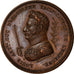 France, Medal, Duc d'Angoulême, Restauration du Trône d'Espagne, History