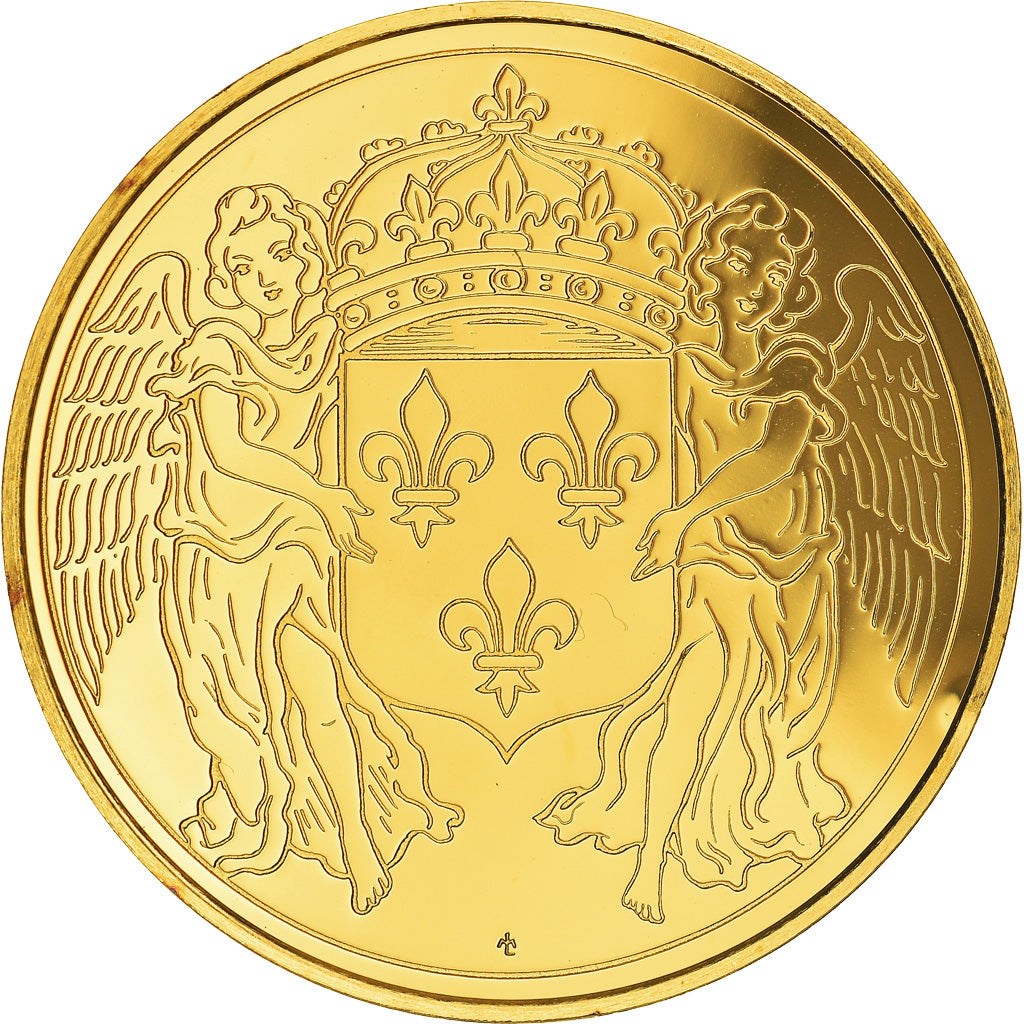 Francia, medalla, Les rois de France, Louis XIII, History, Proof, FDC, Oro