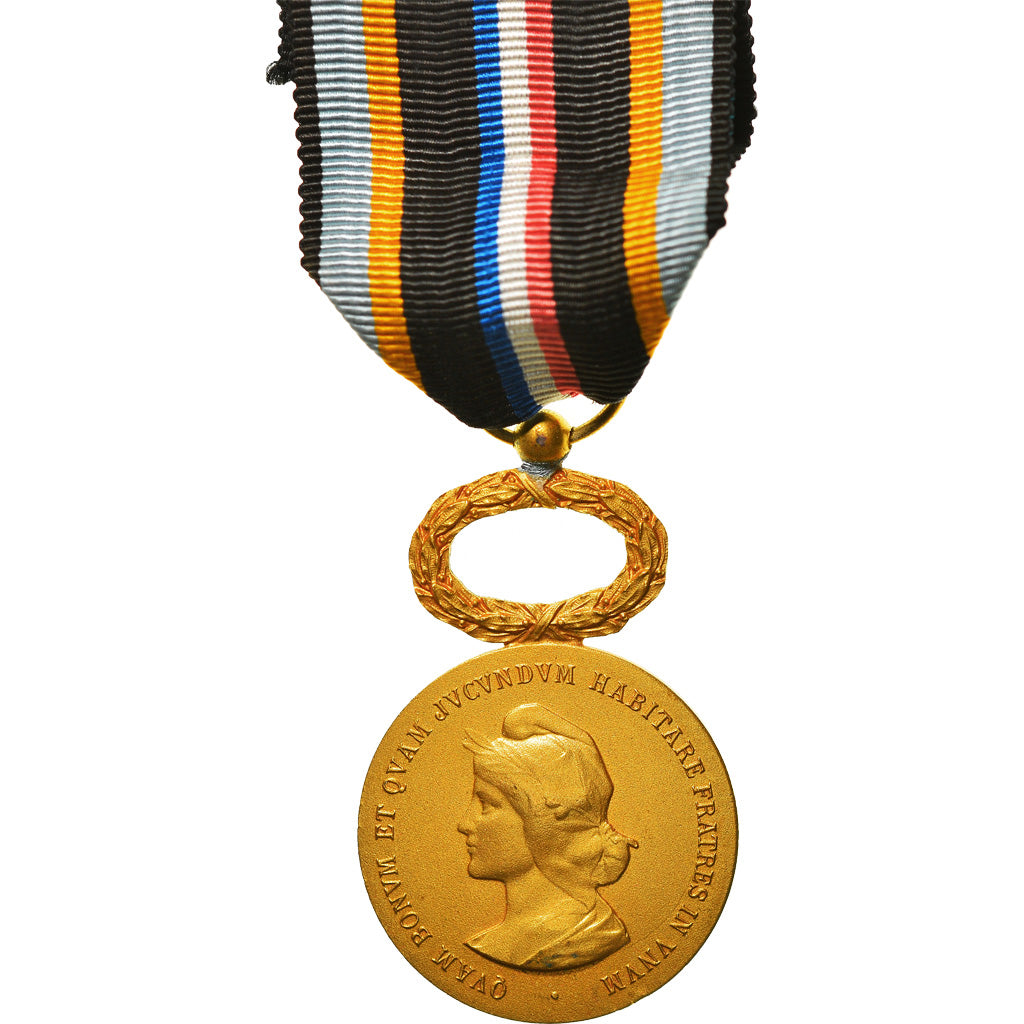 France, Union Nationale de la Mutualité du Nord, Medal, Excellent Quality, Gilt