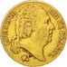 France, Louis XVIII, 20 Francs, 1819, Paris, EF(40-45), Gold,KM712.1,Gadoury1028