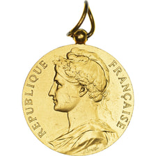 France, Ministère du Travail et de la Sécurité Sociale, Medal, 1956, Very