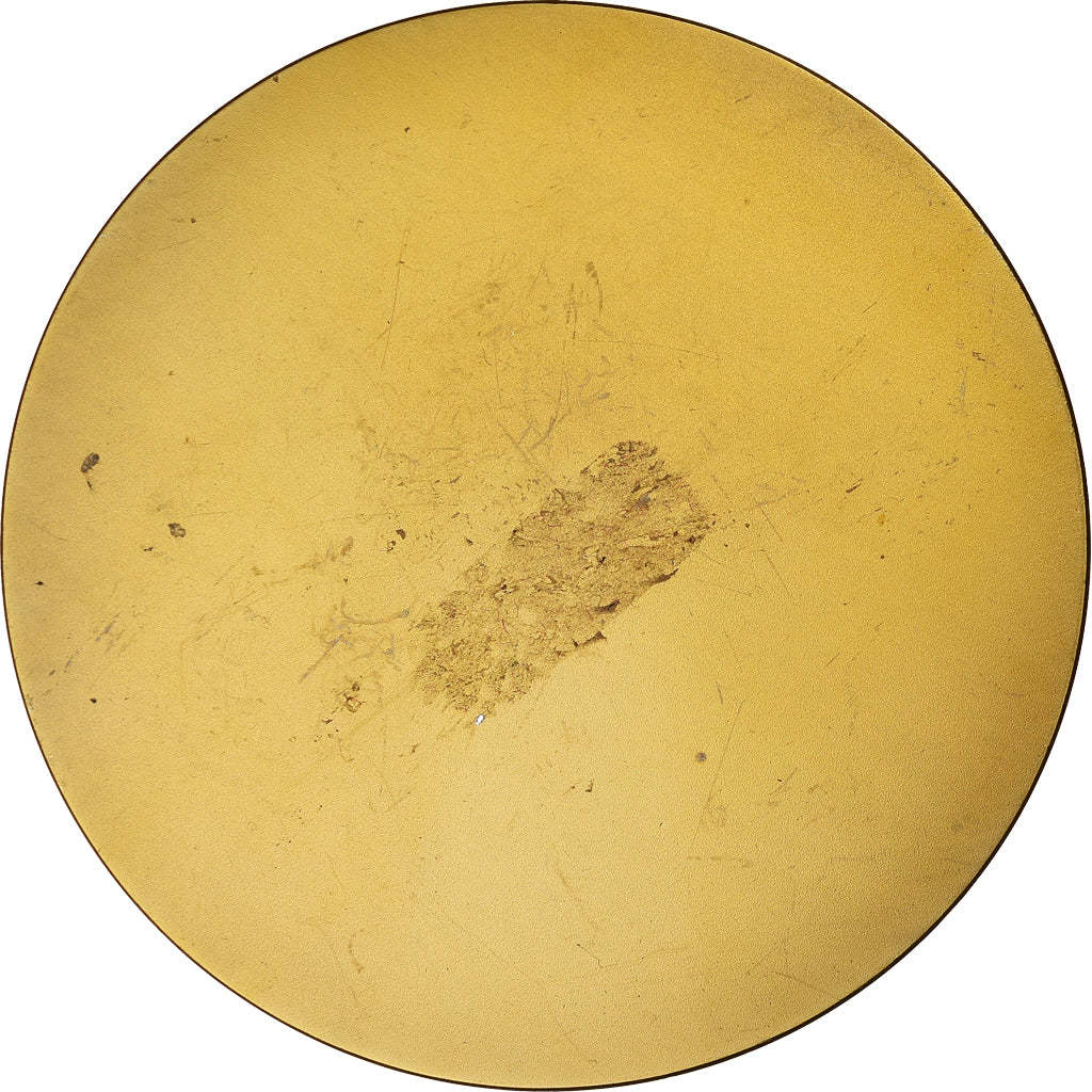 France, Medal, Ville de la Planche, Loire-Atlantique, Pichard, AU(55-58), Bronze