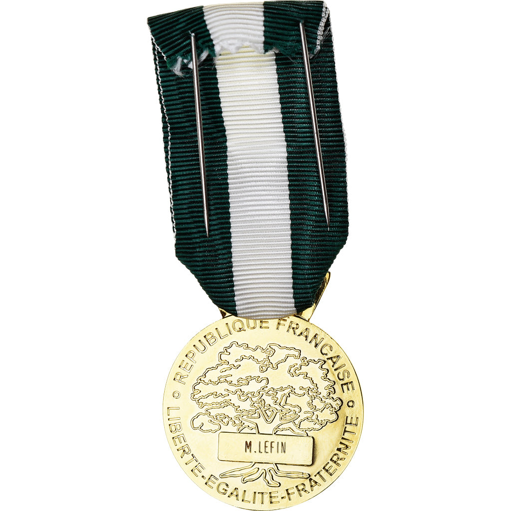 França, Médaille d'honneur communale, régionale et départementale, Medal
