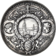 Switzerland, Medal, Eidgenossische Schützenfest, Winterthur, 1895, MS(60-62)