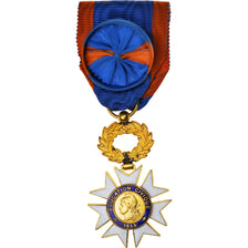 France, Education Civique, Chevalier, Medal, 1933, Excellent Quality, Gilt
