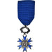 França, Ordre National du Mérite, Medal, Qualidade Excelente, Bronze Prateado