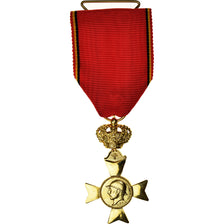 Belgia, Les Vétérans du Roi Albert Ier, Medal, 1909-1934, Doskonała jakość
