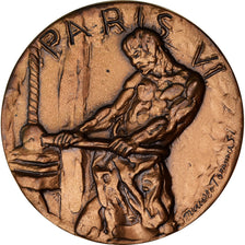 Francia, medaglia, Paris VI, Instruction, Tommasi, SPL, Bronzo