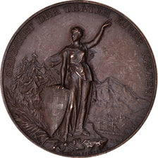 Switzerland, Medal, Eidgenössisches Schützenfest, Glarus, 1892, Huguenin
