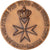 Italie, Médaille, Seisme du Frioul, 1976, Rossi, SPL, Bronze