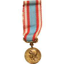 França, Opérations de Sécurité et Maintien de l'ordre, Algérie, Medal