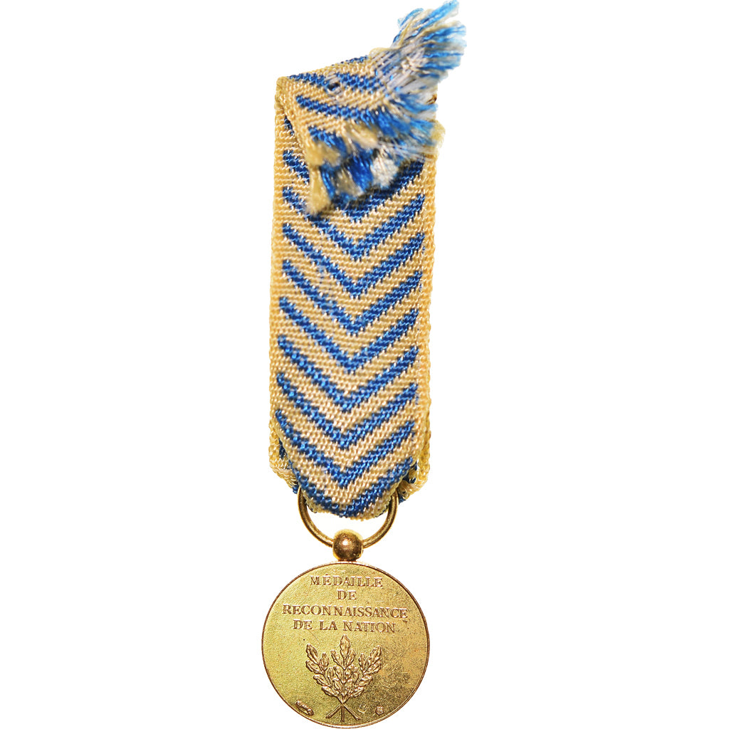 Francia, Reconnaissance de la Nation, Guerre, medaglia, Réduction, Eccellente