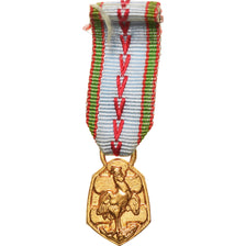 Francja, Libération de la France, WAR, Medal, 1939-1945, Réduction, Doskonała