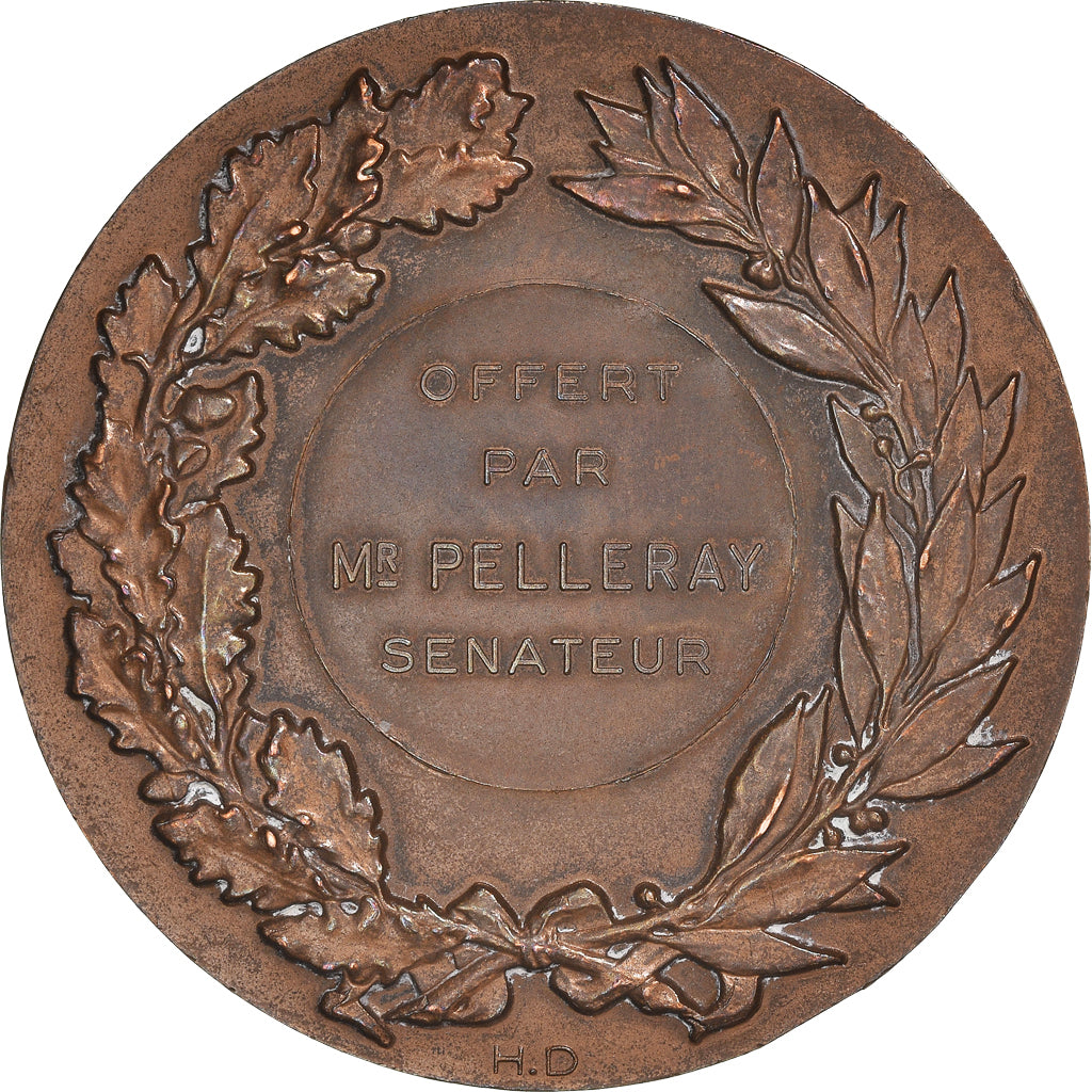 France, Médaille, marianne, Offert par Mr Pelleray, Sénateur, Politics, 1969