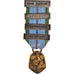 France, Engagé Volontaire, Afrique, Méditerranée, Atlantique, WAR, Medal