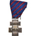 France, France Libre, Services Volontaires, WAR, Médaille, 1940-1945, Excellent