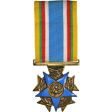 France, Combattants de moins de Vingt Ans, WAR, Médaille, 1939-1945, Excellent