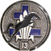 Francia, Insigne, Escadron, 13ème Brigade, Djibouti, Military, EBC, Métal