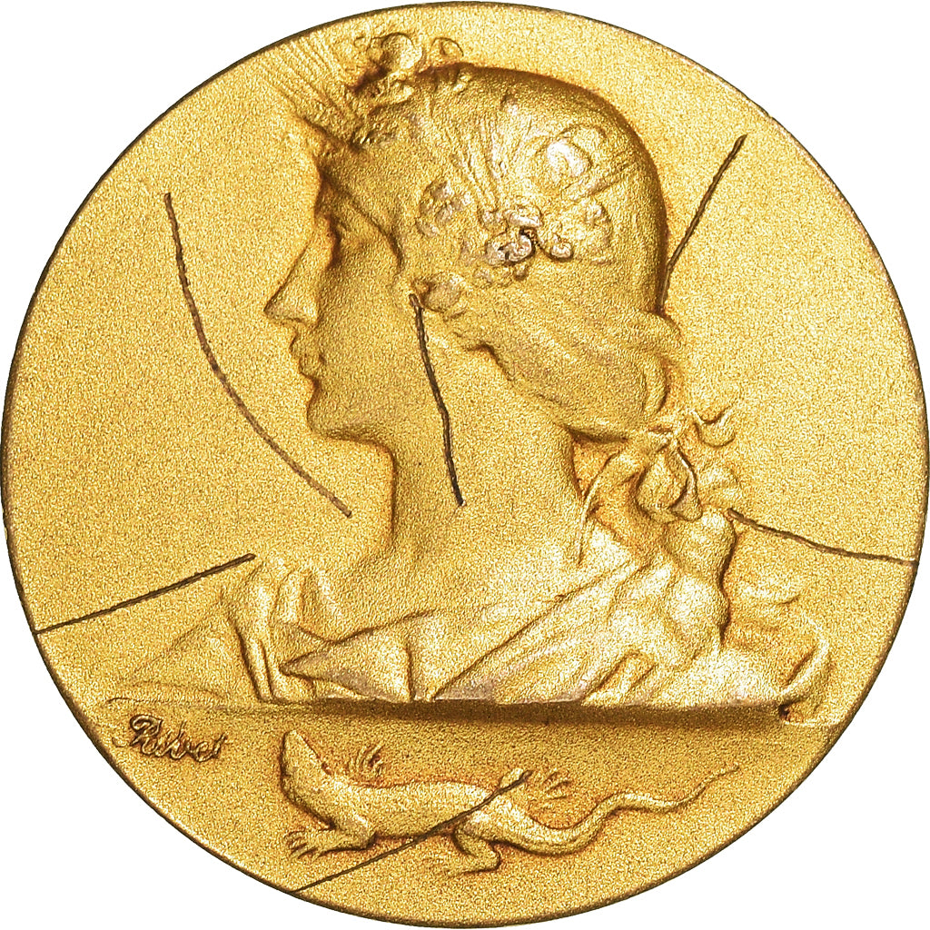 Francia, medaglia, Marianne, Salamandre, SPL-, Bronzo dorato