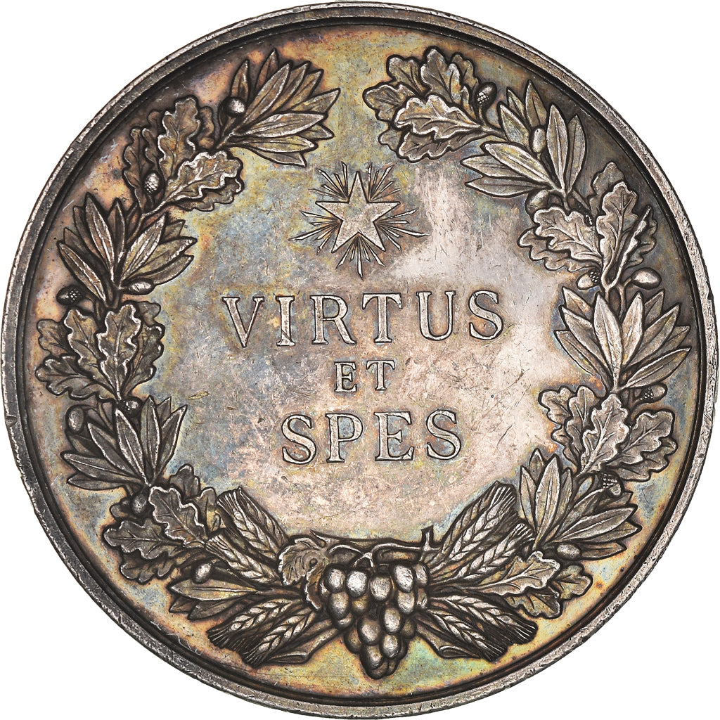 Francja, Medal, Société Centrale de Sauvetage des Naufragés, Calais