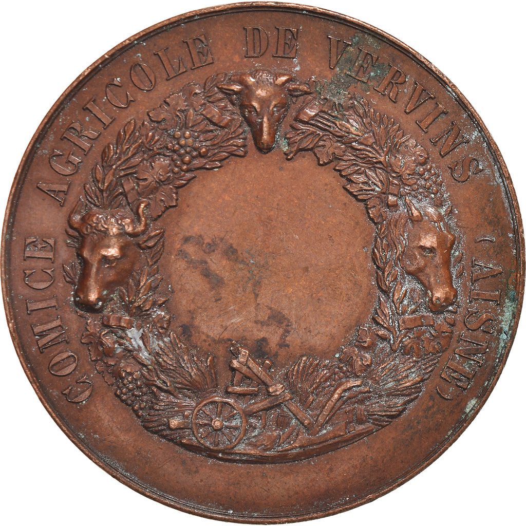 France, Medal, Olivier de Serres, Comice Agricole de Vervins, Aisne, De