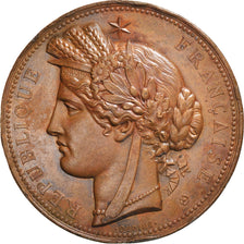 France, Médaille, Exposition Universelle de Paris, Trocadéro, 1878, Oudiné