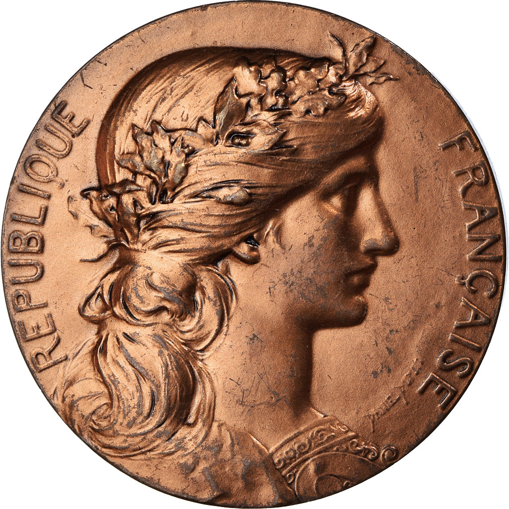 France, Medal, Marianne, Commune de Nesle Hodeng, Normandie, 1996, Dupuis.D