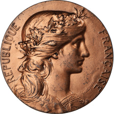 France, Medal, Marianne, Commune de Nesle Hodeng, Normandie, 1996, Dupuis.D