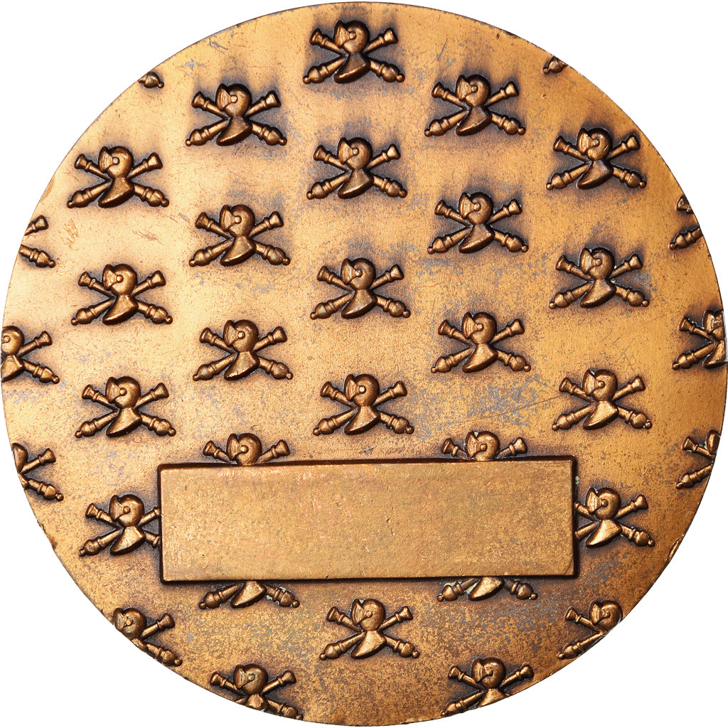 France, Médaille, 503 ème Régiment de Chars de Combat, Military, TTB+, Bronze