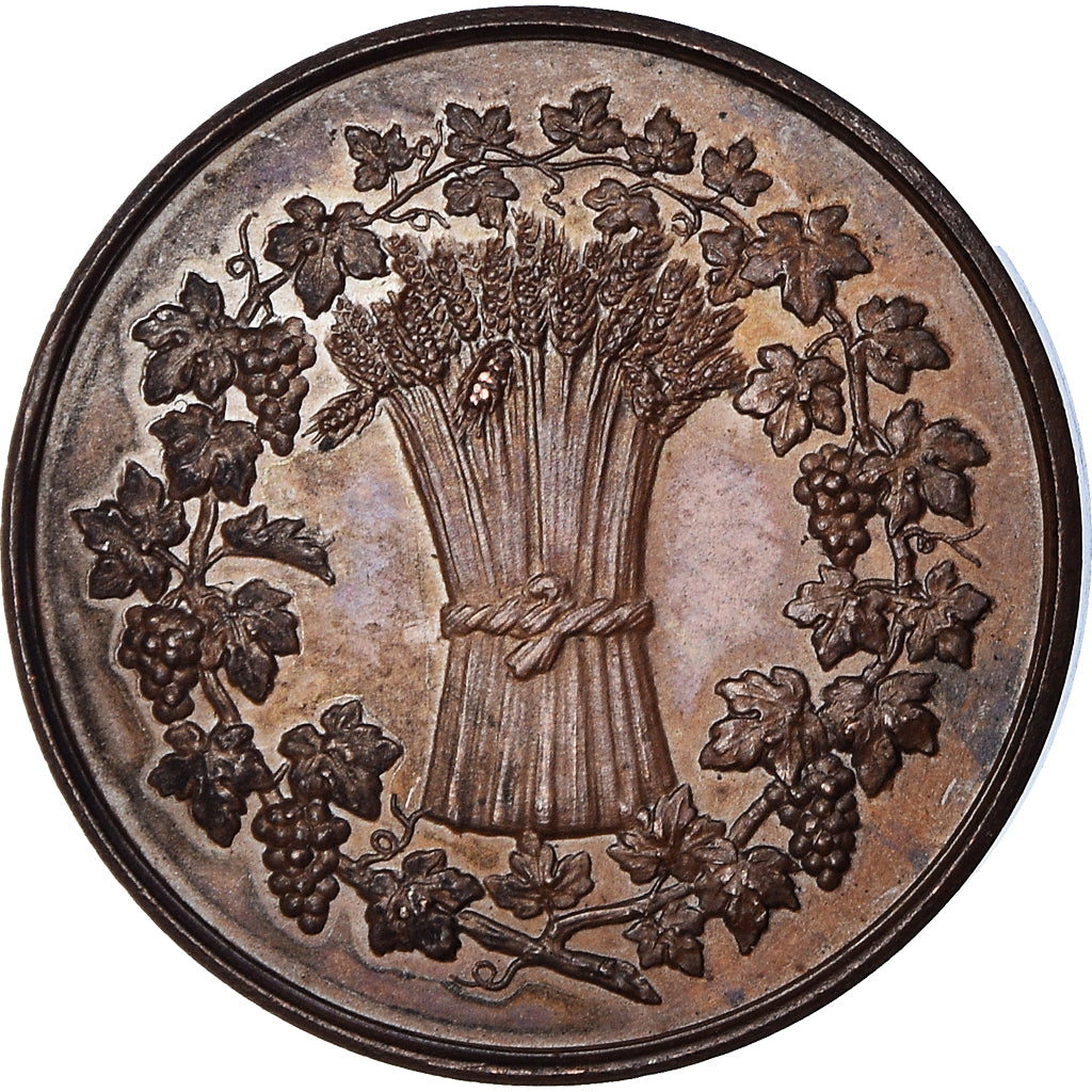 France, Medal, Comice Agricole et Viticole d'Epernay, Marne, AU(55-58), Copper