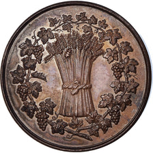 France, Medal, Comice Agricole et Viticole d'Epernay, Marne, AU(55-58), Copper