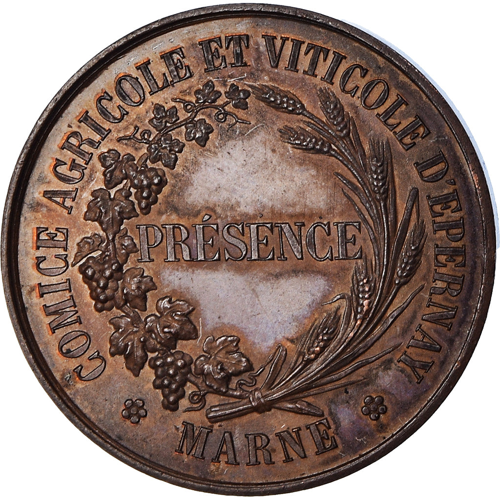 France, Medal, Comice Agricole et Viticole d'Epernay, Marne, AU(55-58), Copper