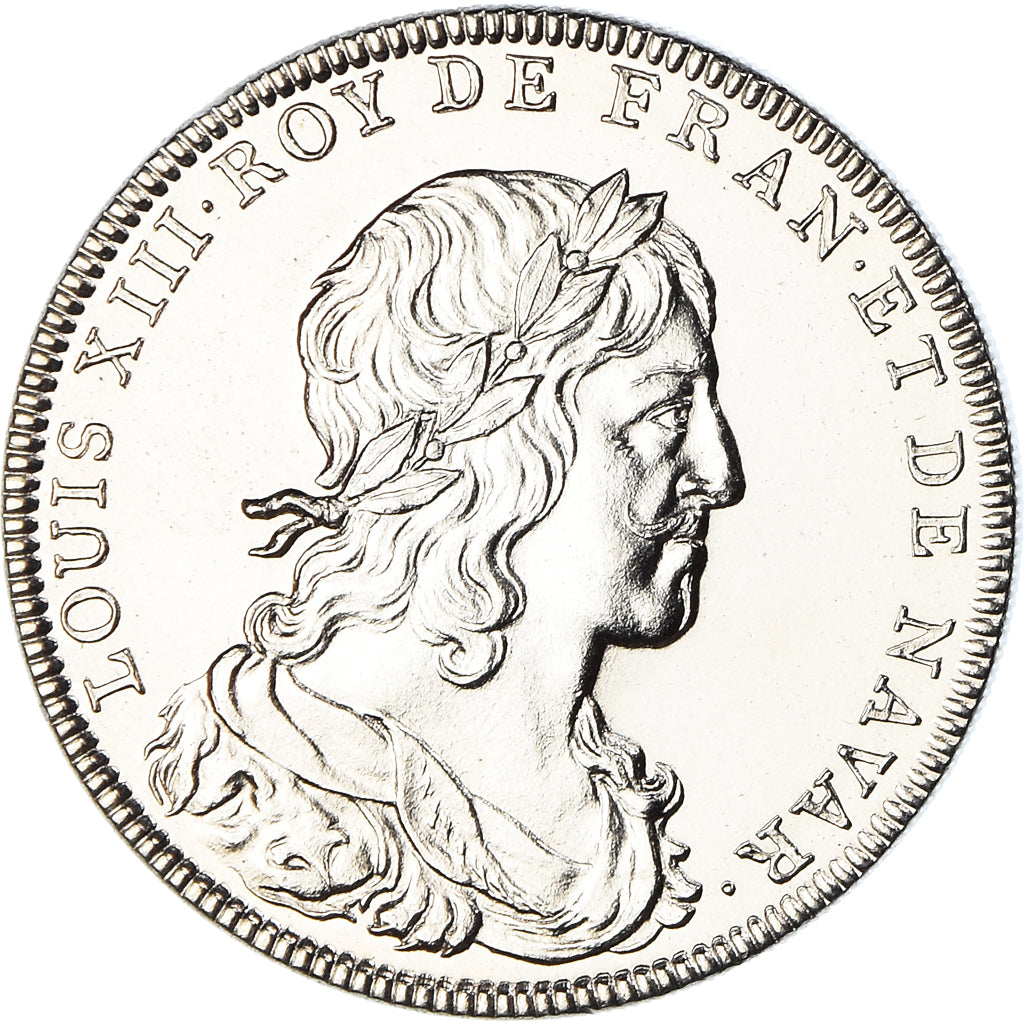 France, Medal, Les rois de France, Louis XIII, History, MS(65-70), Nickel