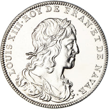 France, Medal, Les rois de France, Louis XIII, History, MS(65-70), Nickel