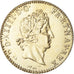 Frankrijk, Medaille, Reproduction Louis d'Or aux Insignes, Louis XIV, History