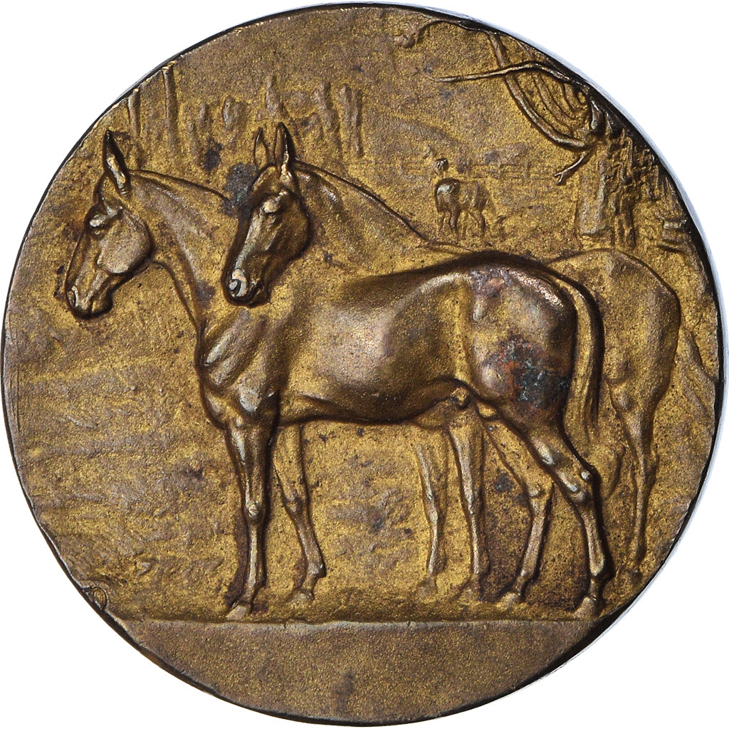 Francia, medaglia, Société Protectrice des Animaux du Nord, BB+, Bronzo