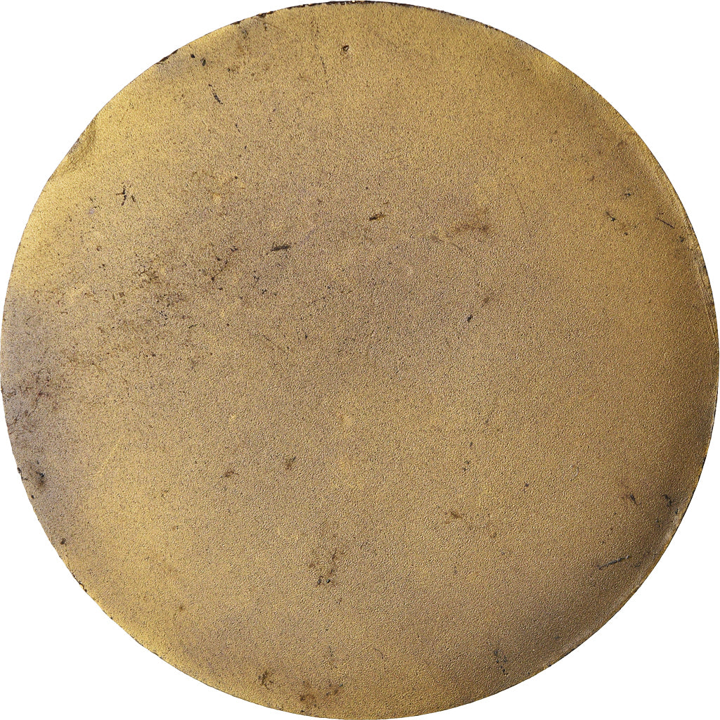 France, Medal, Sir Winston Churchill, Cercle du Bibliophile, AU(55-58), Bronze