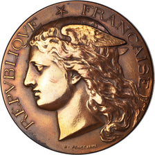 Francja, Medal, Concours Régional Hippique, Arras, 1893, Ponscarme, AU(50-53)