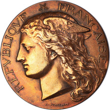 Francia, medaglia, Concours Régional Hippique, Arras, Agriculture, 1893